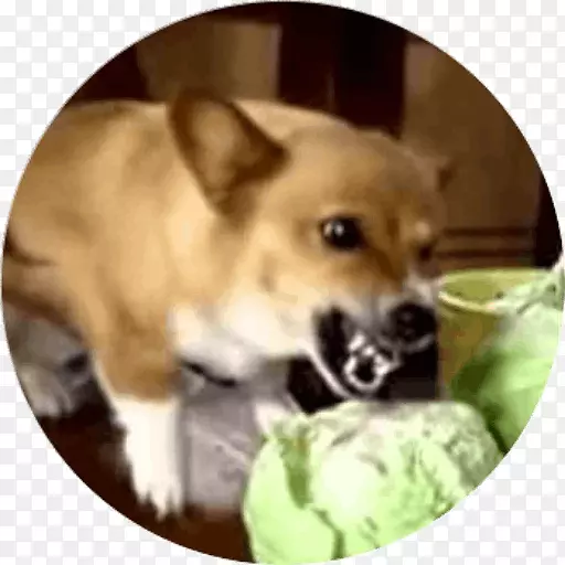 �����޿�����ʿ�Ƽ���˾-��ά��-������