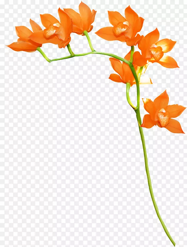 ��ɫ������ƻ��ܼ�����-��ɫ-������