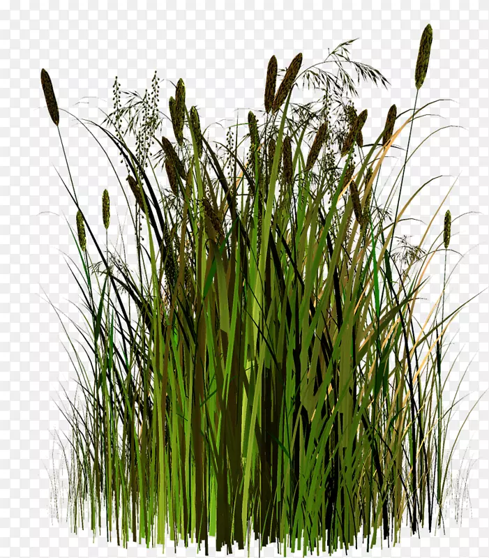 �������ݹȸ�ͼƬ�ݱ�ֲ��-������