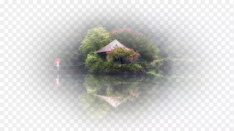 �����ֽ��Ӱ�������-�����-������