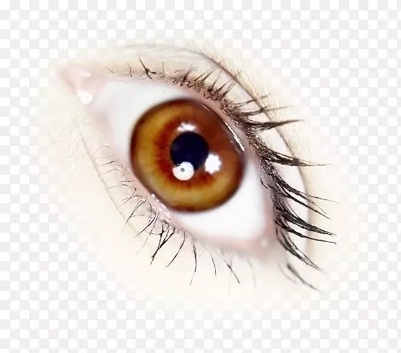 ����ͼ��-������