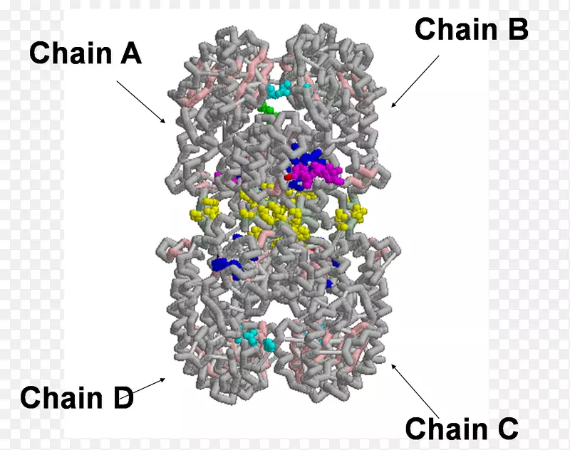 �ߵ����鱦������-������