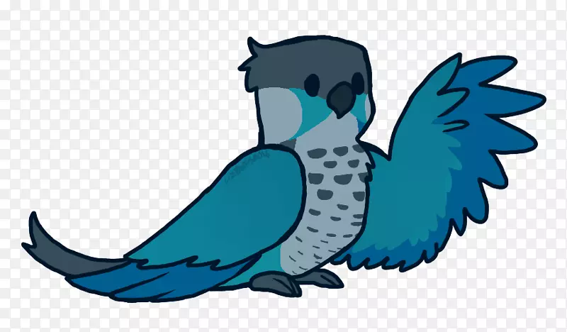 Jaiden����Conure��ͼ-����-������