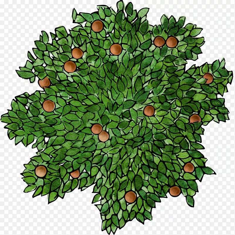 �¸���˹����ʵ-���ϵĹ�ʵ-������