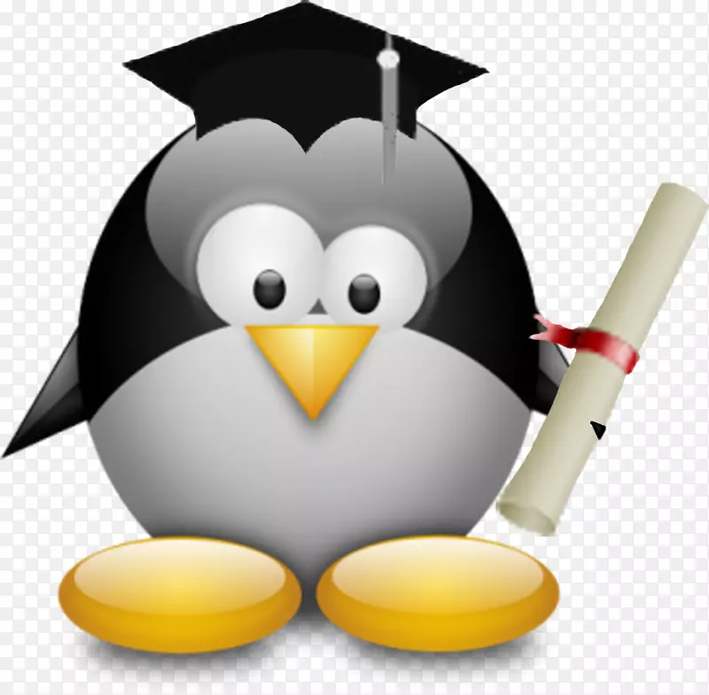 microsoft windows e linux��Ƶ�豸�లװ-linux-������