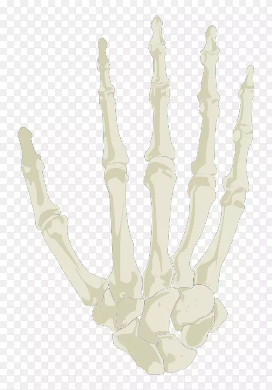 ��ָ-�������-��-������