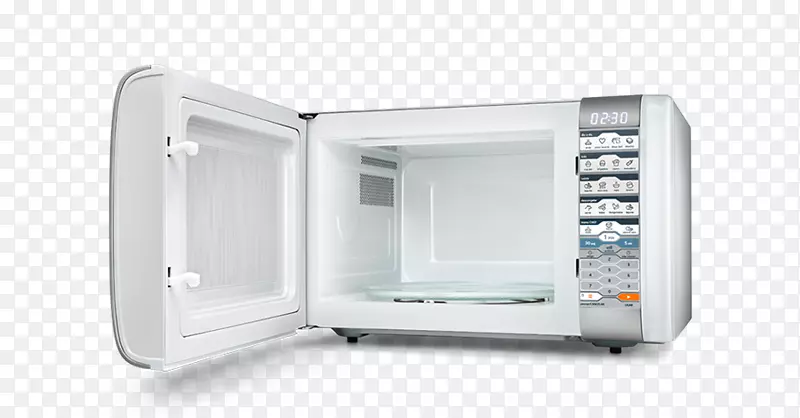 ���õ���΢��¯���ĳ���-������