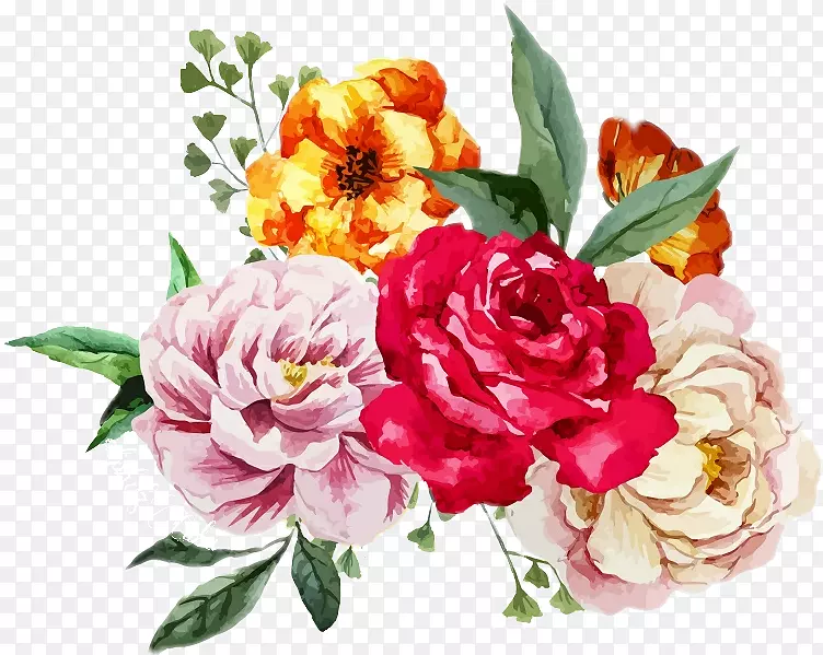 ˮ�ʻ����ܻ���ˮ�ʻ��������-������