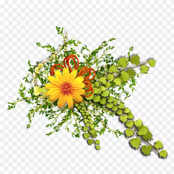 �л���ƻ���-������