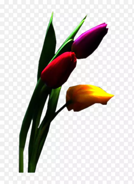 �������л�����-������