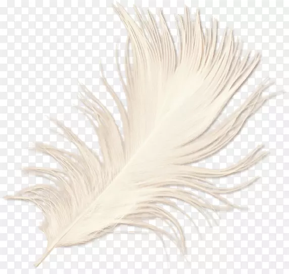 ����-������