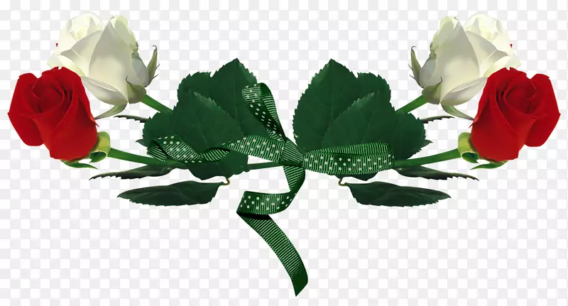 ��׼�����-������