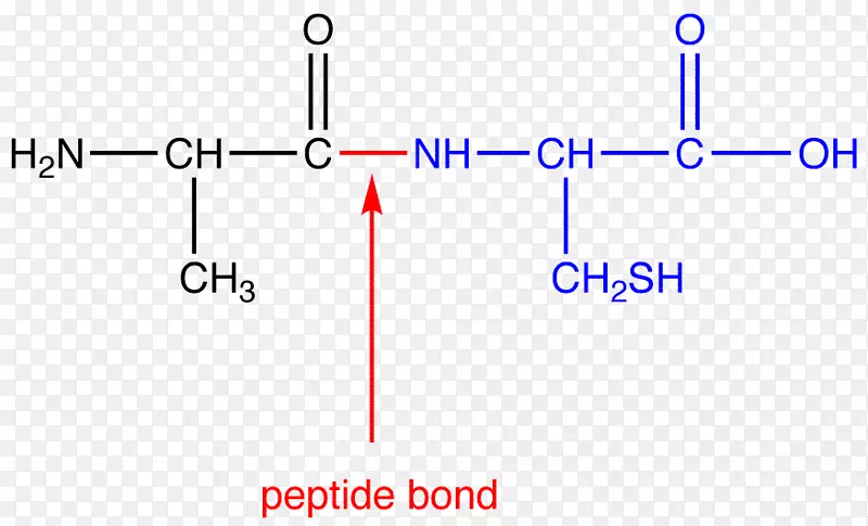 �ļ������ᣬN-�ˣ�c-��-������