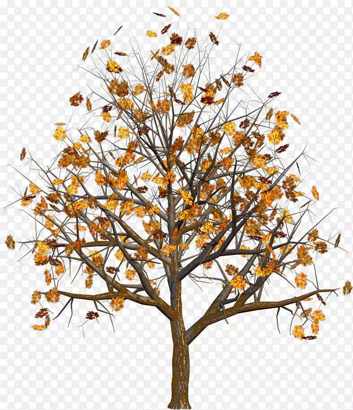 ���������ֽ�＾-������