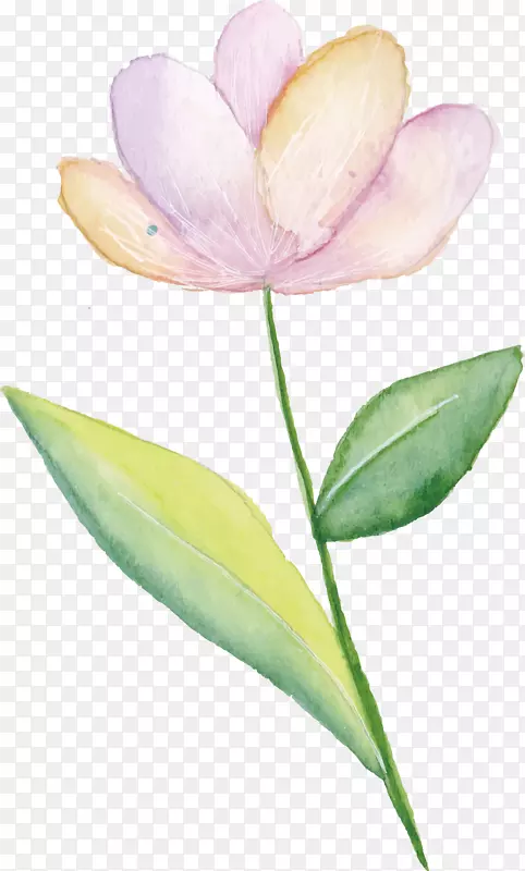 �ۺ컨ˮ�ʻ�-С�ʷۻ�-������