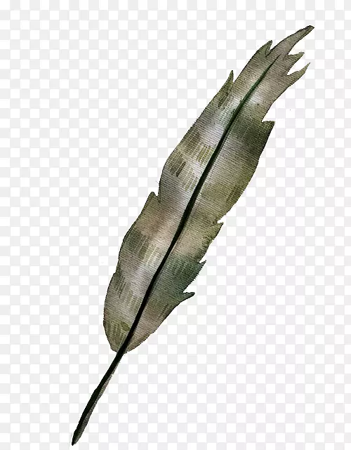 ˮ�ʻ�.ˮ����ë-������