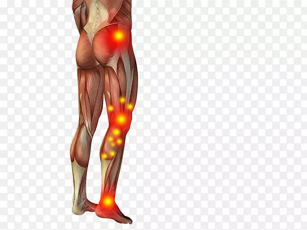 ��Ӱ��������Ƭ���������-������