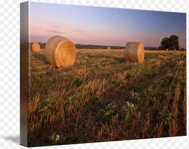 �ɲ��ջ��ԭ��չ�˾-������