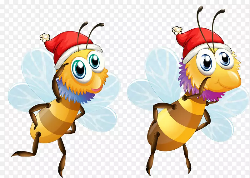 �۷����������-С�۷�-������