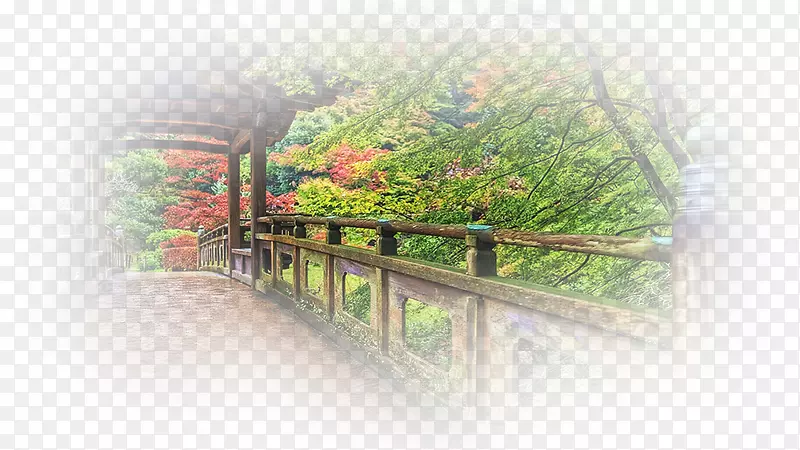 ��-��-������