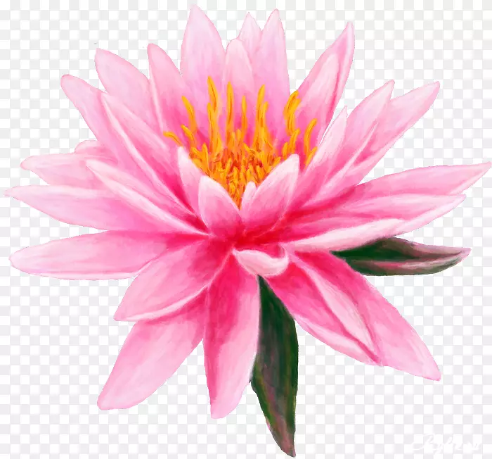 �׻��ٺ�ˮ-������