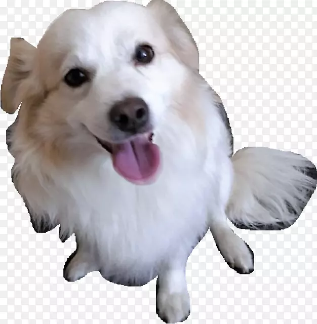 Ȯ��С����Ȯ����-С��-������