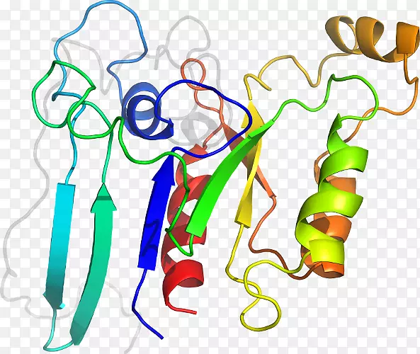 �����������������-������