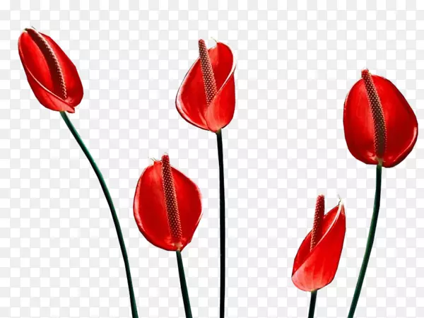 �������л�-������