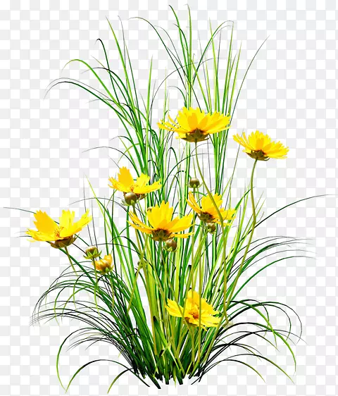 ��������л�-������