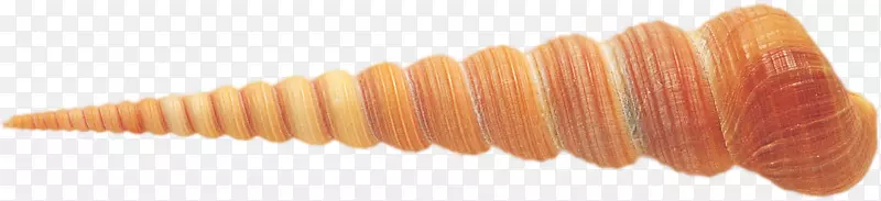 ��д-������