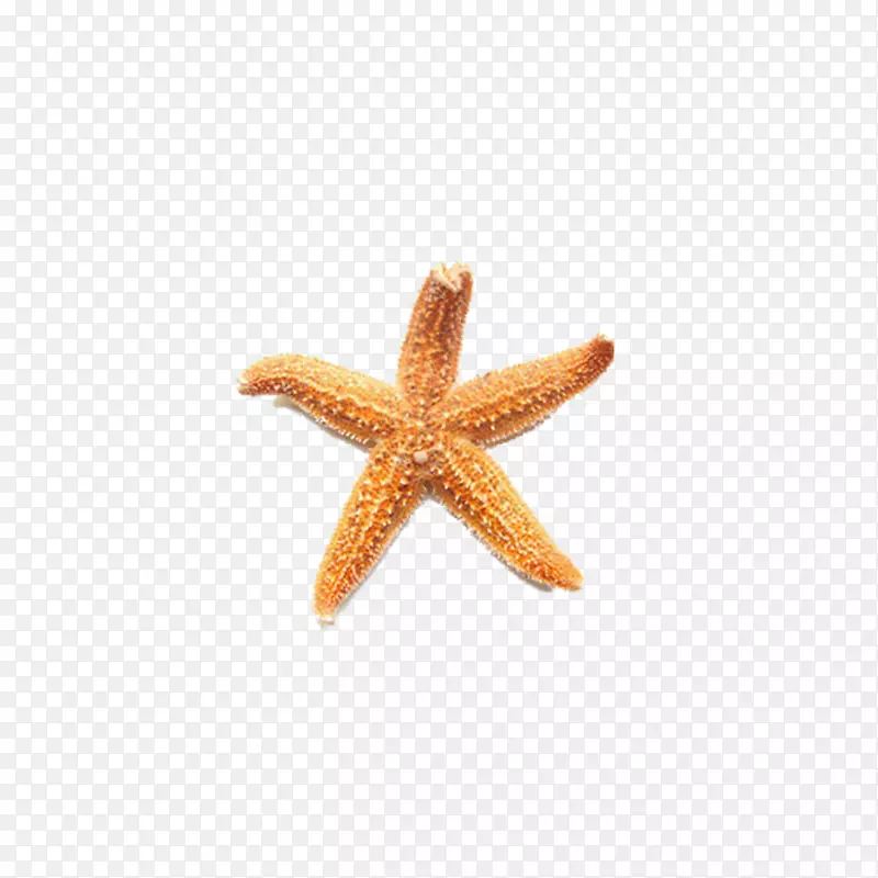 ����-����-������