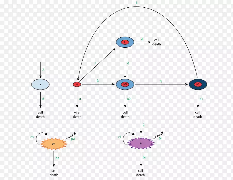 ͼ�����-������