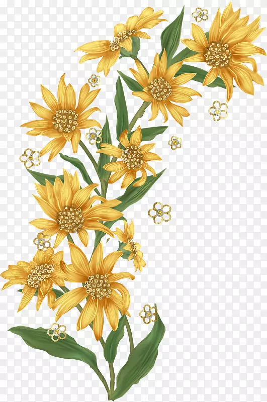 ���ܼ�ֽ����-����-������