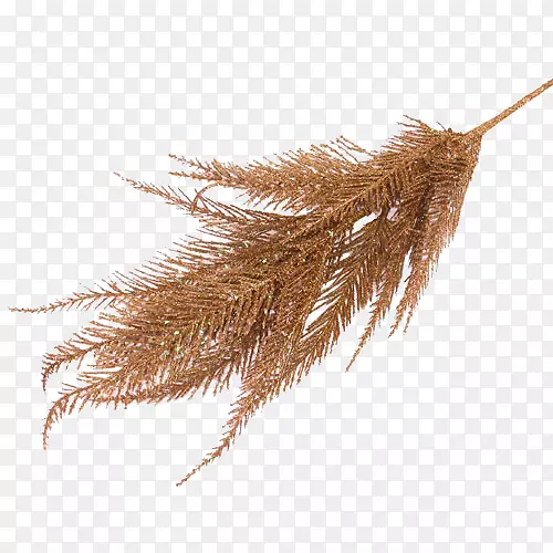 �̱�����Ʒ��ͥ-������