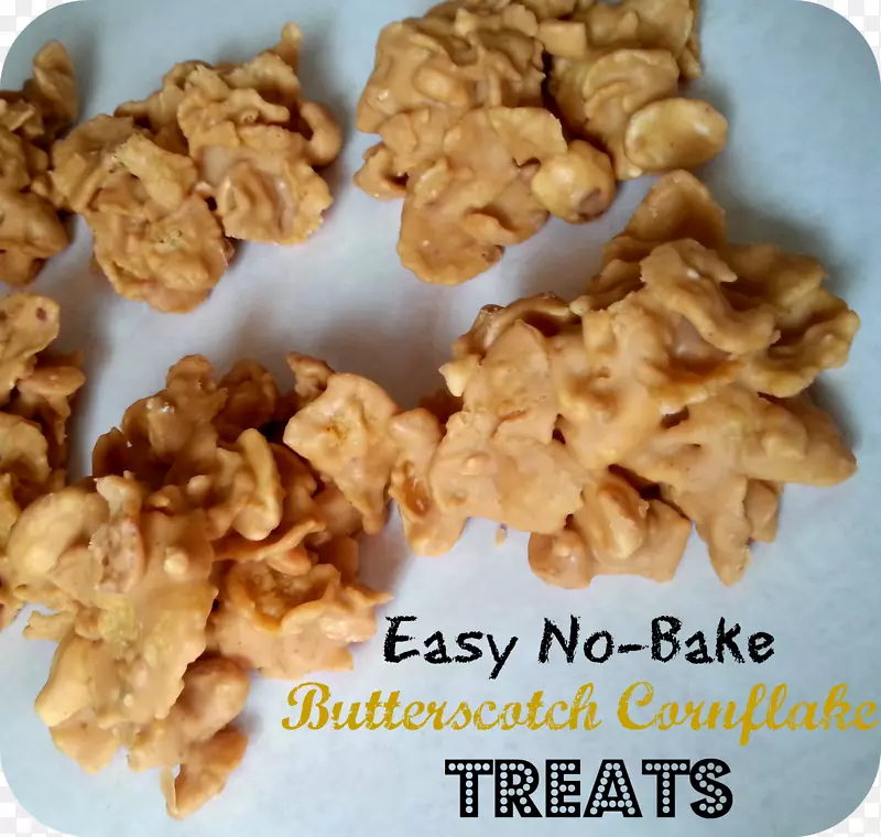 ��ʳ�����������̬��Ӧʳ��ʳ��vy 2-������