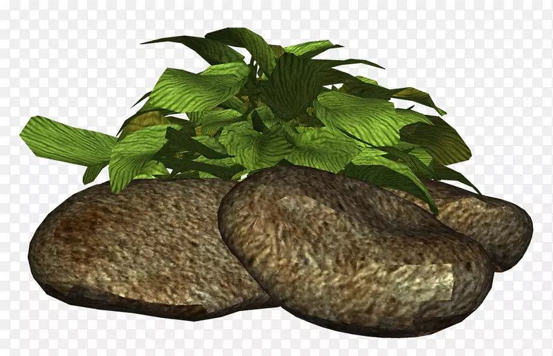 �߲�-�߲�-������