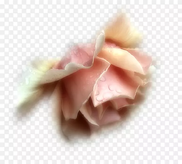 ����������������˼�-������