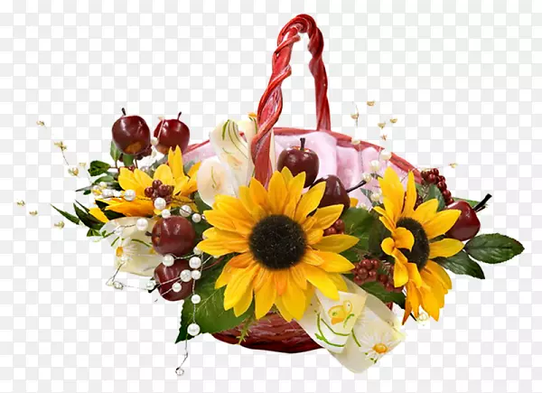 ������ƻ����л���������-������