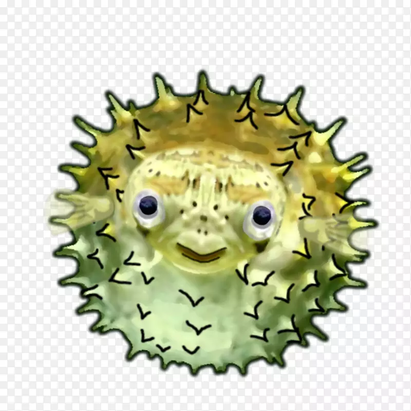 ����BMX WordPress����-������