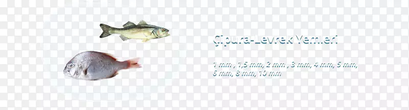 ���������߶�������-������