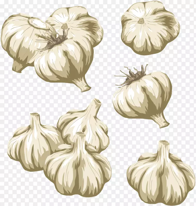 �߲˴��������-�߲�-������