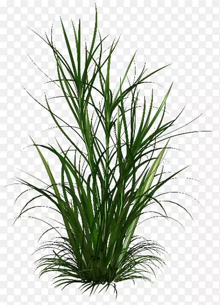 �ݼ�����-������