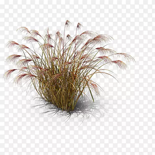 ����-������