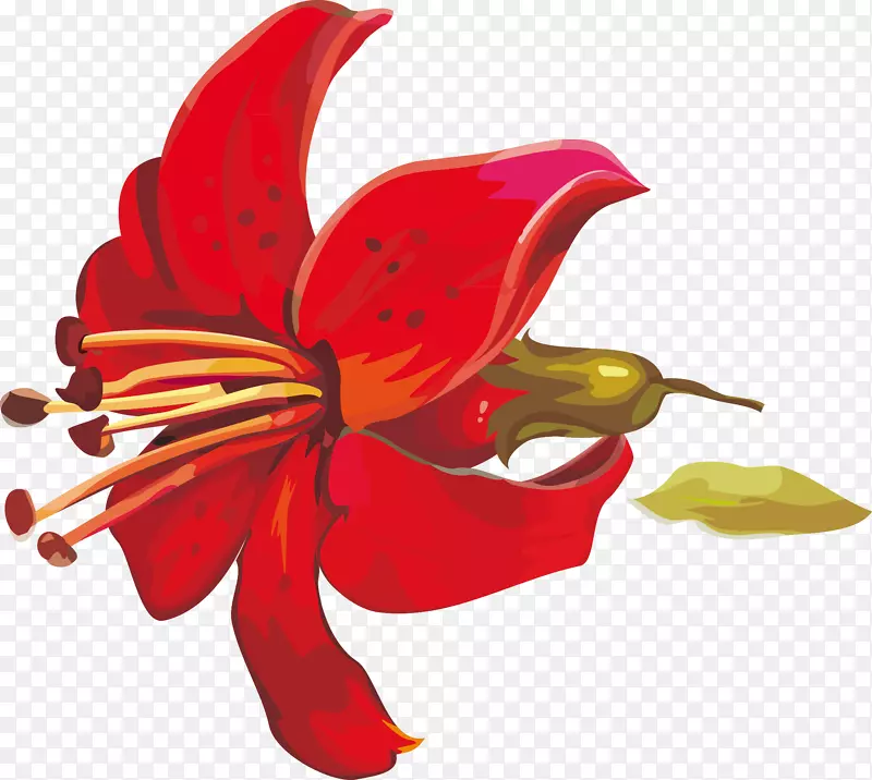 ӣ�����-ӣ��װ�����-������