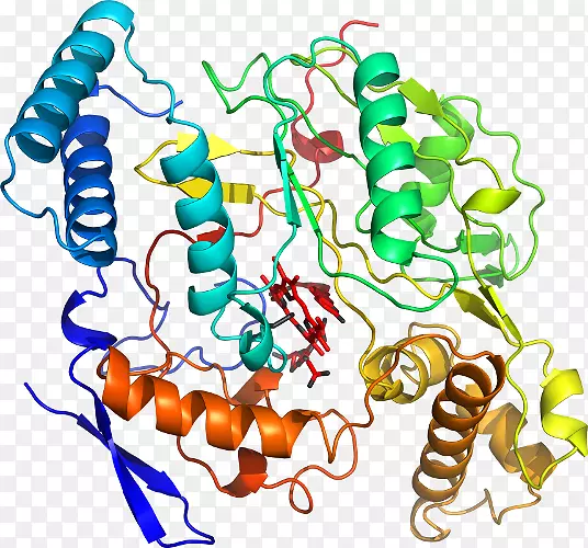 �޼�׵���������鱦�߼�������-������