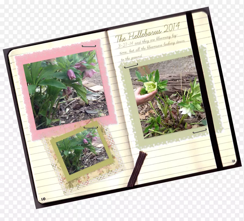 ���μ��ڲ����ռ��罻ý��-����-������