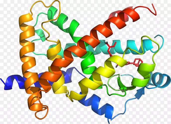 �����鱦���л����������-������