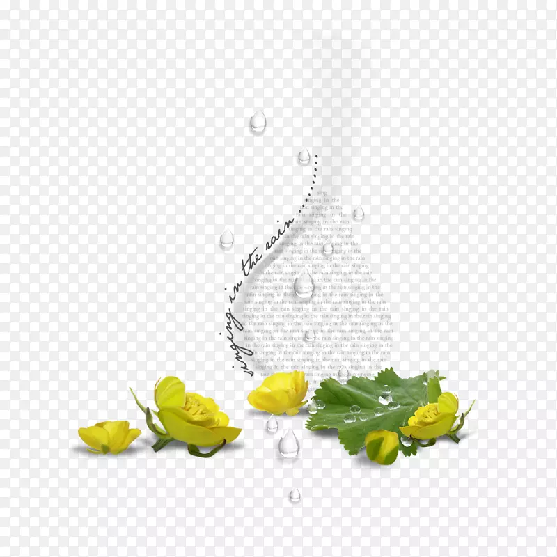 ���ܶ��������ֽ-����-������