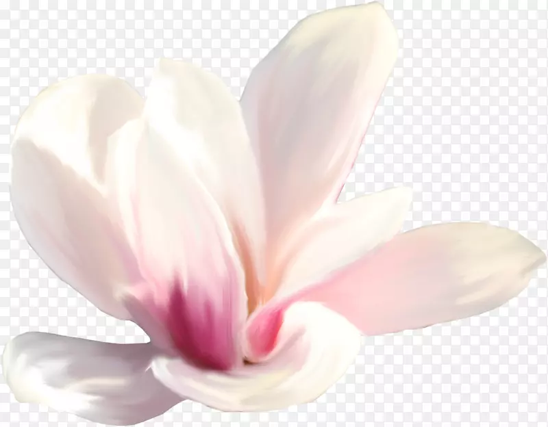 �����ۺ�m��ݱ�ֲ��-ֲ��-������