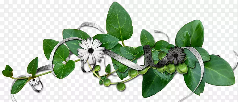 �����ͯ������顣-������